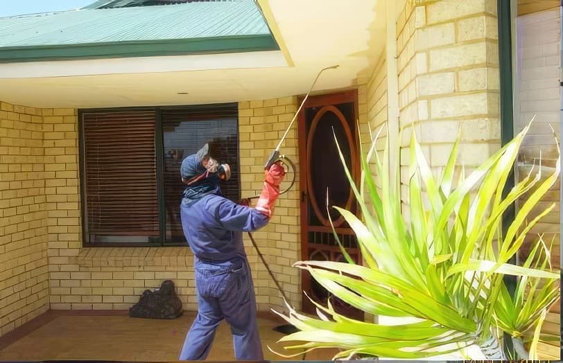 Featured pest control service
