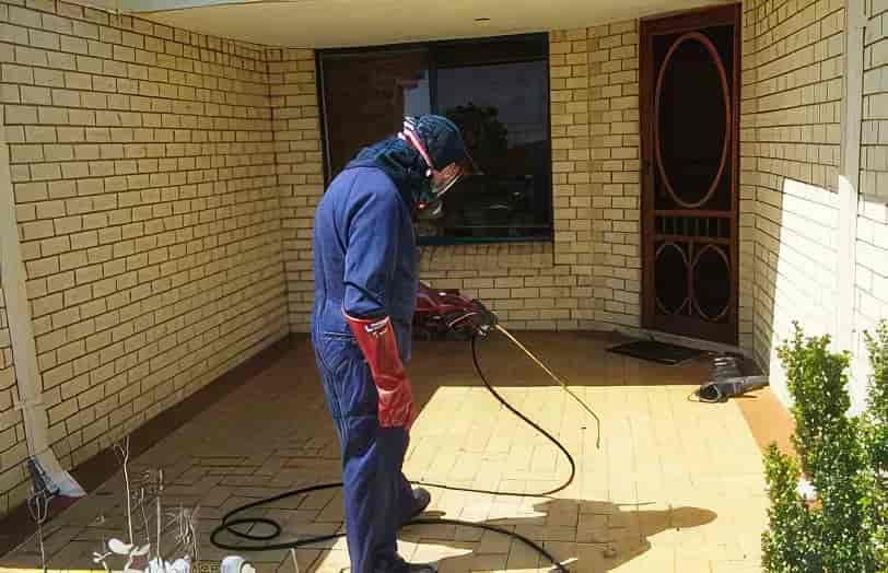 Pest control process